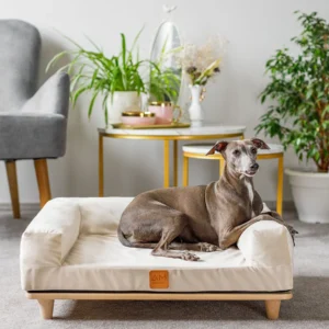 Canapé en bois en velours – SONYA