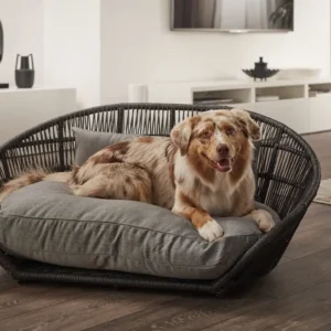 Lit design pour chien – PRADO