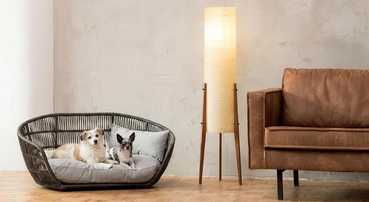 Lit design pour chien – PRADO
